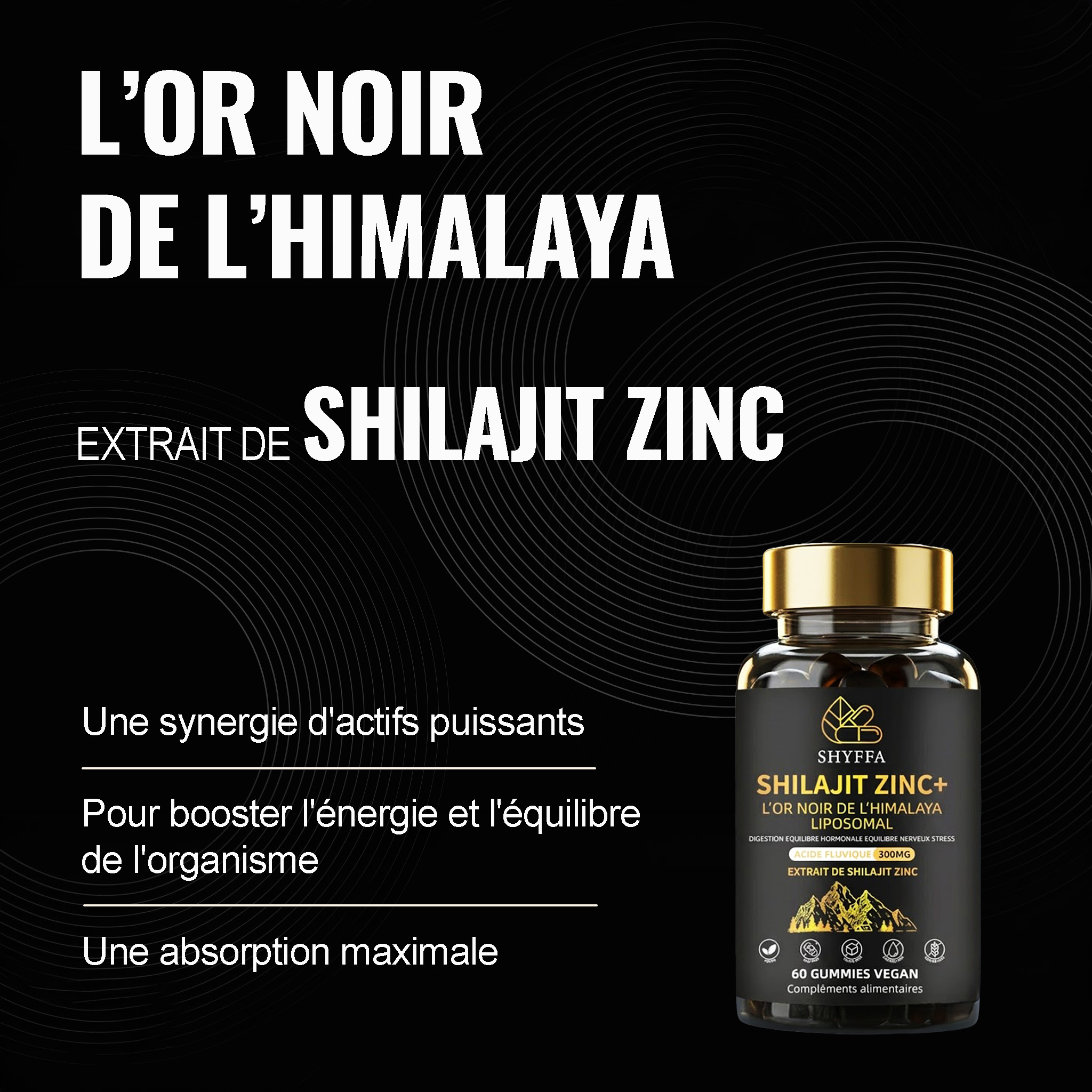 Shilajit Zinc + – Image 2